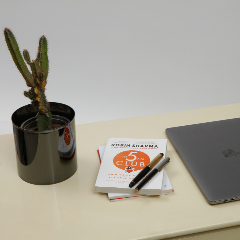 Noir Tabletop Planter: black stainless steel tabletop planter