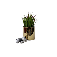 Oro Tabletop Planter: gold stainless steel tabletop planter, view 3
